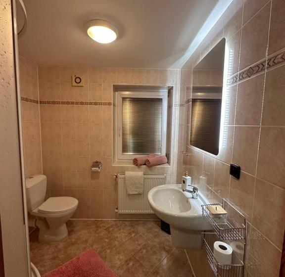 פנסיון Penzion Benešov