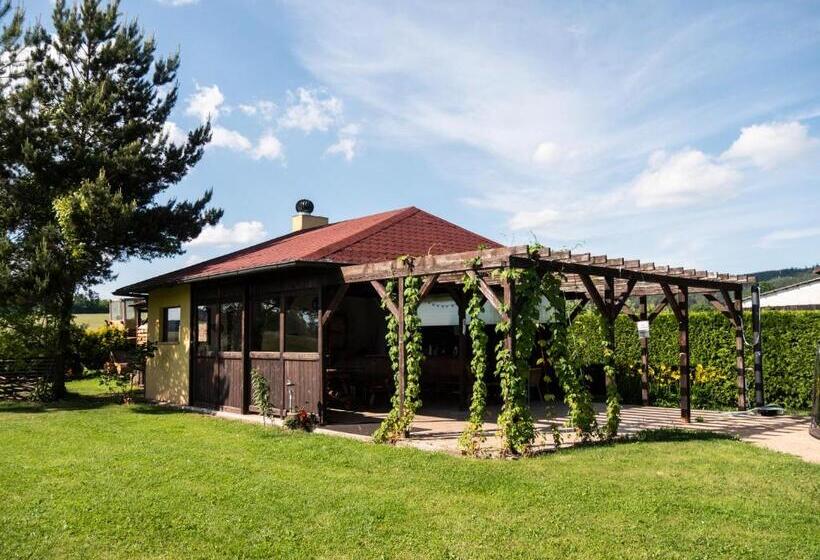 פנסיון Penzion Benešov