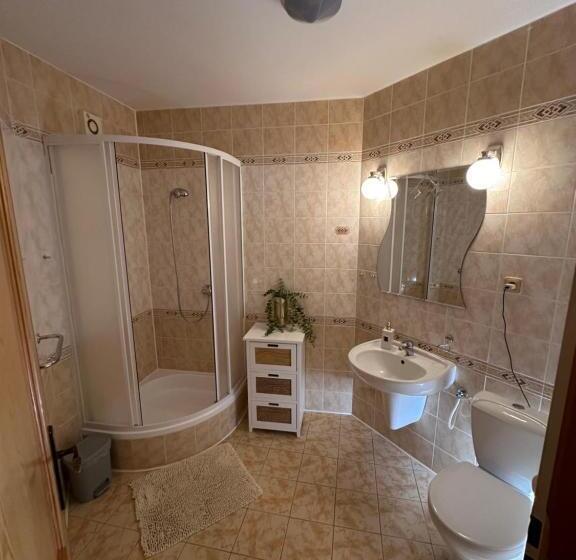 פנסיון Penzion Benešov