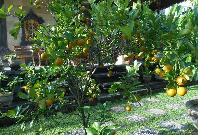 פנסיון Puri Agung Family