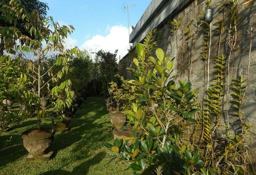 פנסיון Puri Agung Family