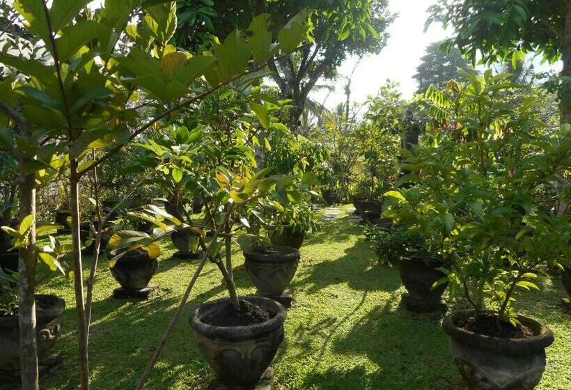 פנסיון Puri Agung Family