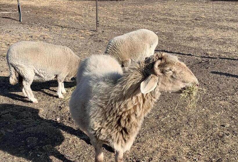 بنسيون Couples Retreat With Mountain View Near Hobart