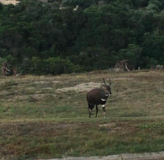 بنسيون Seesterkloof