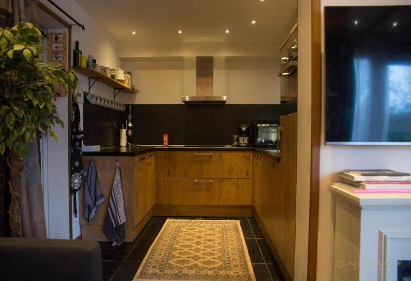 پانسیون T Zeeuwse Licht