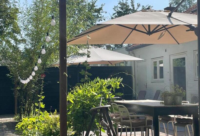 پانسیون T Zeeuwse Licht