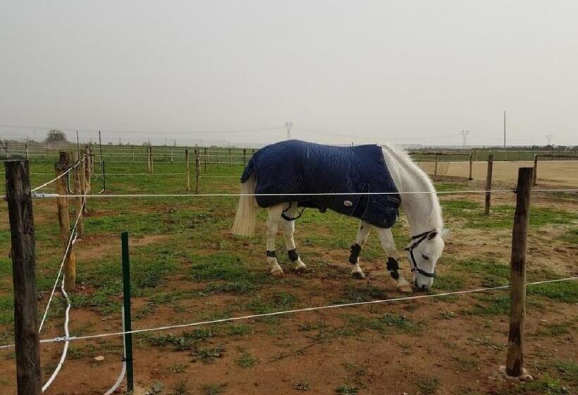 פנסיון Villa Iole