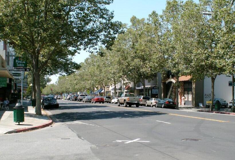 Pansiyon Willow Glen Private Studio   1 Queen Bed And 1 Queen Inflatable