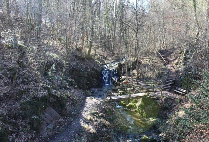 膳宿费 Haus Zur Entersburg