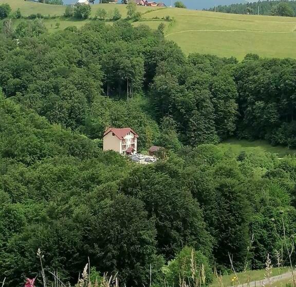 Pensiunea 7 Brazi Ii