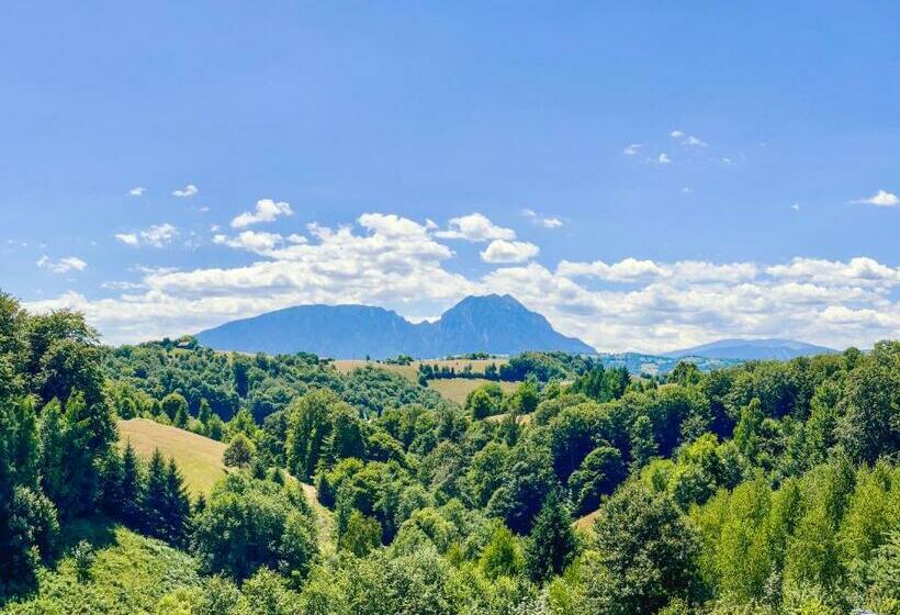 Pensiunea 7 Brazi Ii