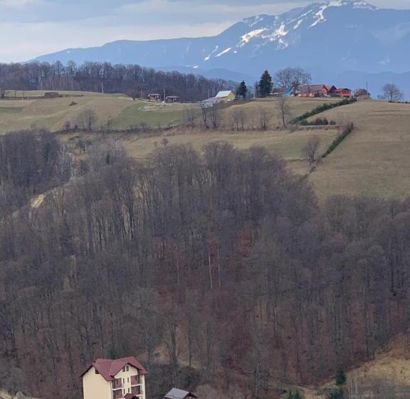 Pensiunea 7 Brazi Ii