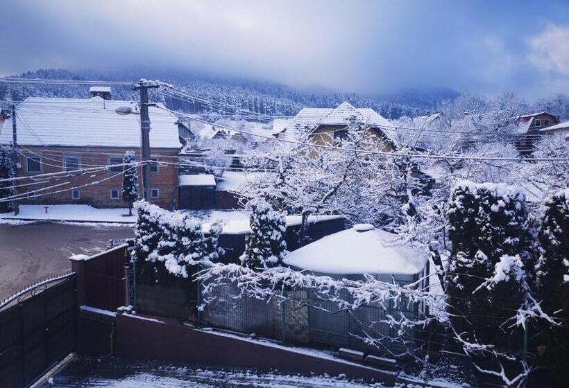 Pensiunea Vila Mocanilor