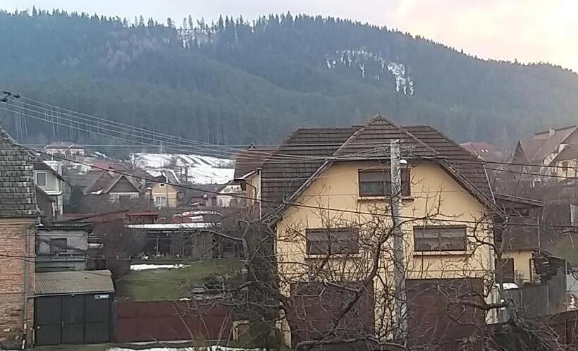 Pensiunea Vila Mocanilor