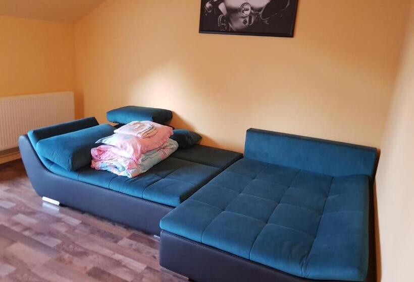 Pensiunea Vila Mocanilor