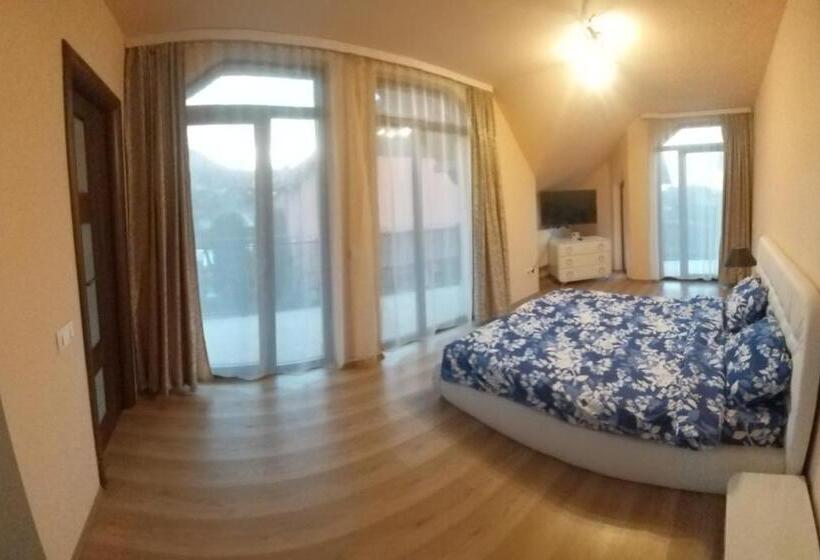 Pensiunea Vila Mocanilor