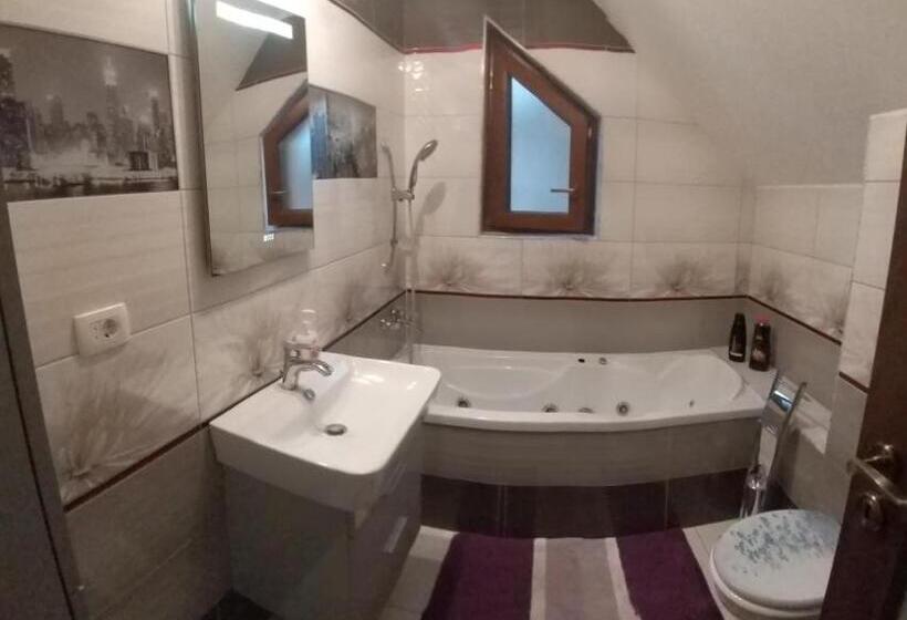 Pensiunea Vila Mocanilor