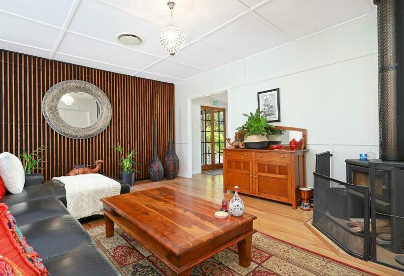 The Odd Gecko B&b