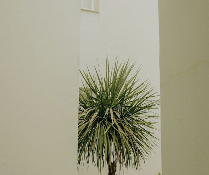 Apartamentos Bora Bora  Adults Only