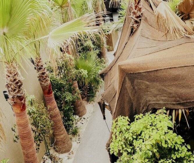 Apartamentos Bora Bora  Adults Only