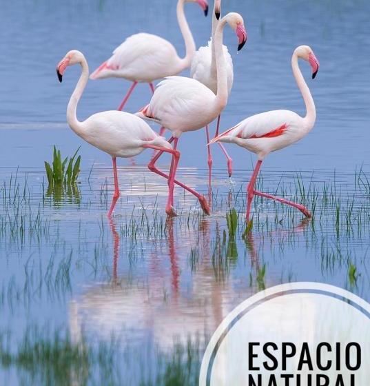 Hostal Pilas Alcarayón