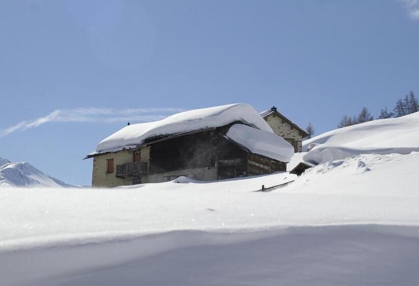 هتل Alexander Charme