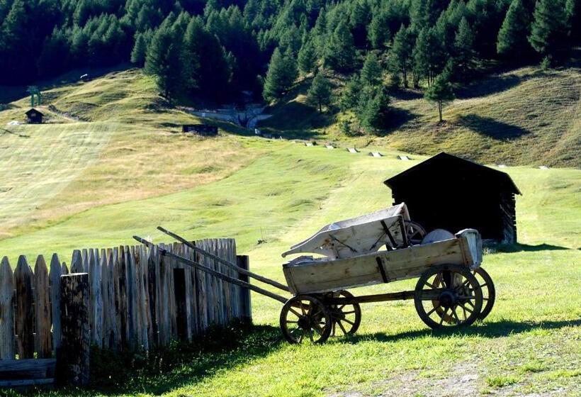 هتل Alexander Charme