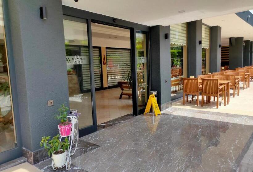 בית מלון כפרי Altinersan