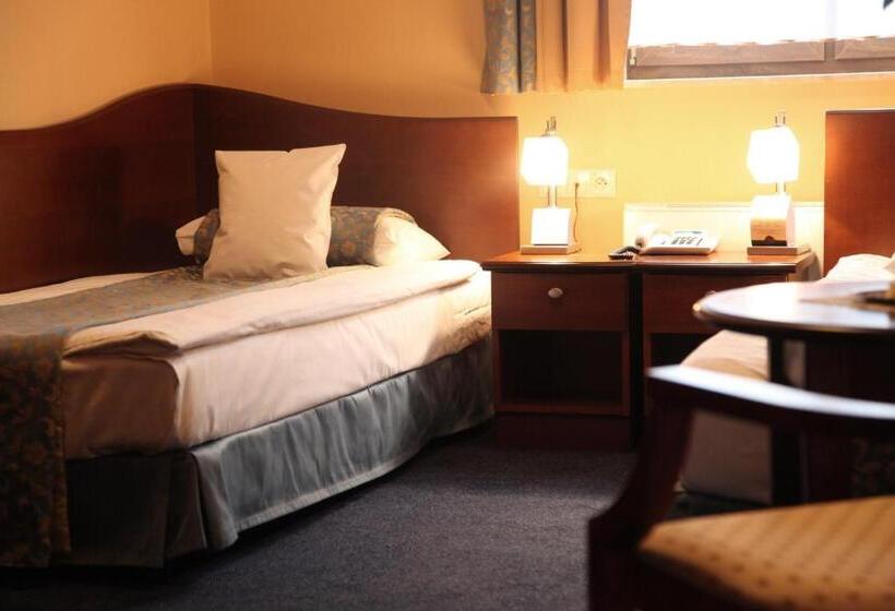 酒店 Ambasadorski Rzeszów