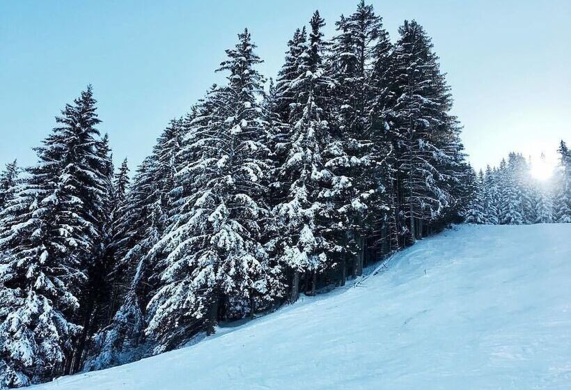 호텔 Appartements De Charme Du Saint Martin