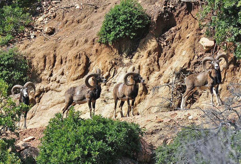 בית מלון כפרי Arbatax Park Resort Il Villaggio