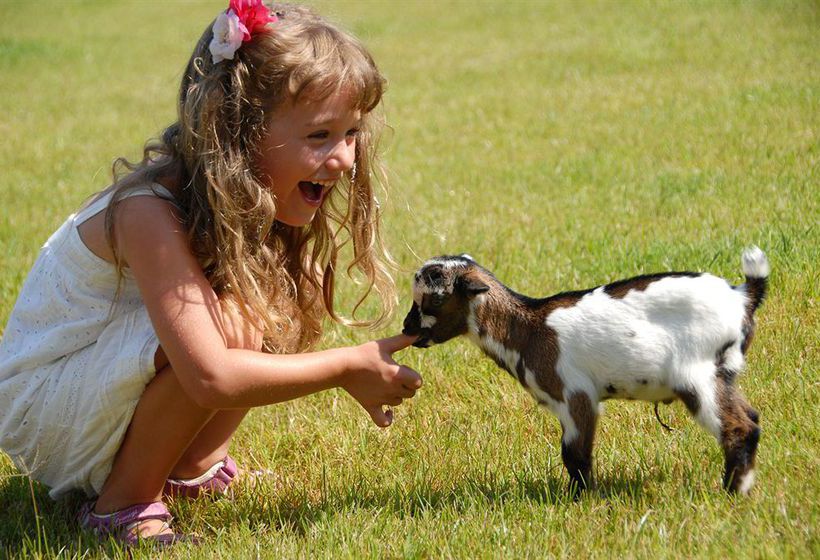 בית מלון כפרי Arbatax Park Resort Il Villaggio