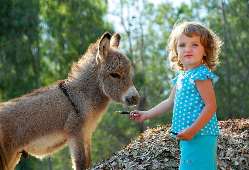 בית מלון כפרי Arbatax Park Resort Il Villaggio