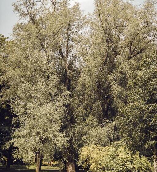 בית מלון כפרי Arnbjerg Pavillonen