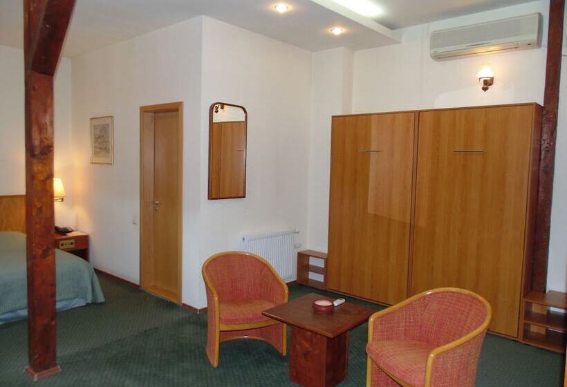 Отель Curtea Brasoveana