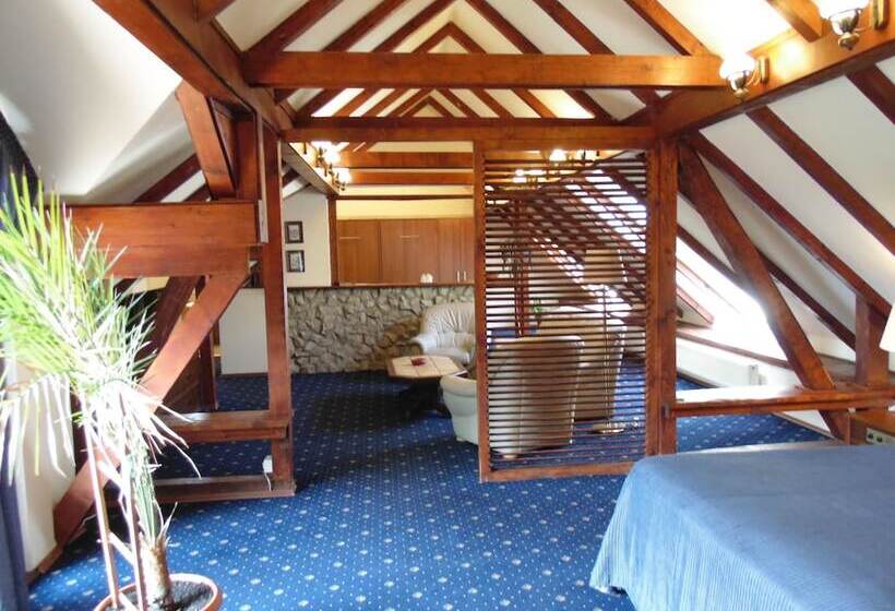 Отель Curtea Brasoveana