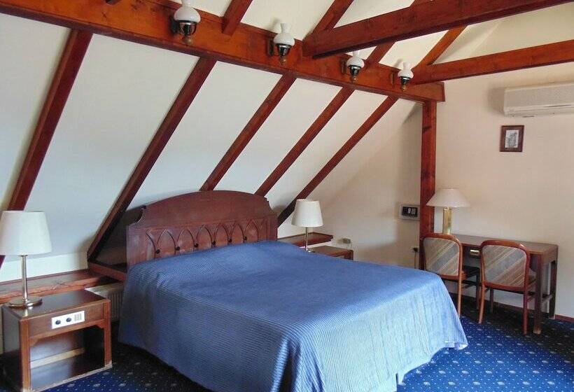 호텔 Curtea Brasoveana