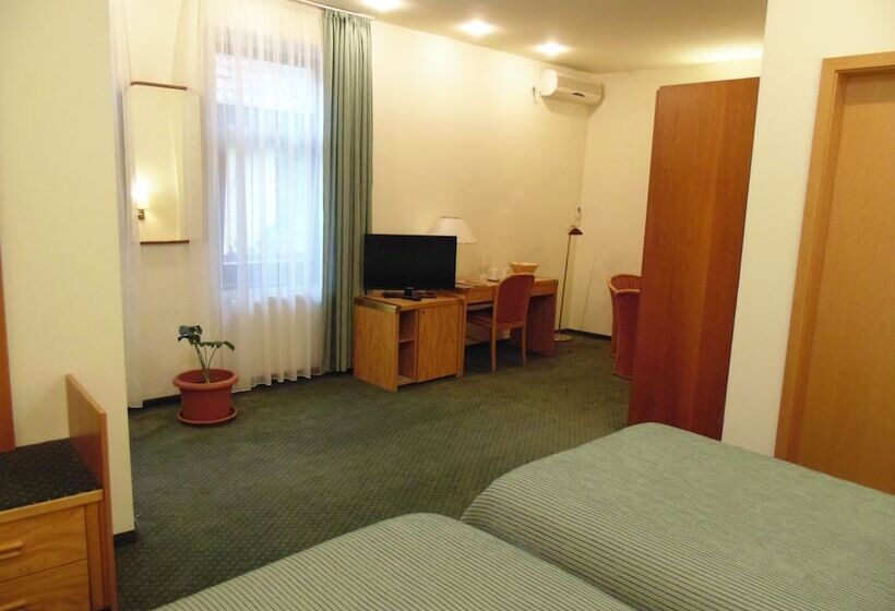 Отель Curtea Brasoveana