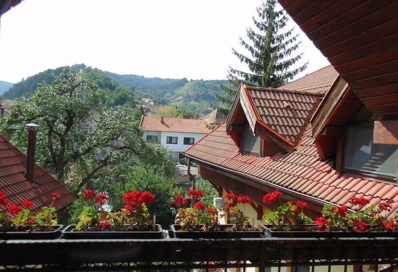 Отель Curtea Brasoveana