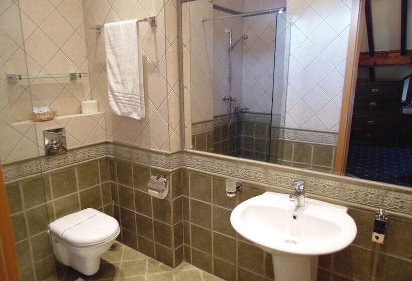 Отель Curtea Brasoveana