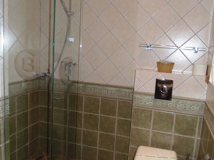 Отель Curtea Brasoveana