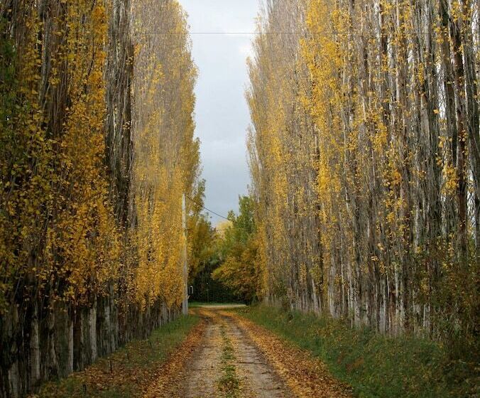 호텔 Domaine De Mejeans   Teritoria