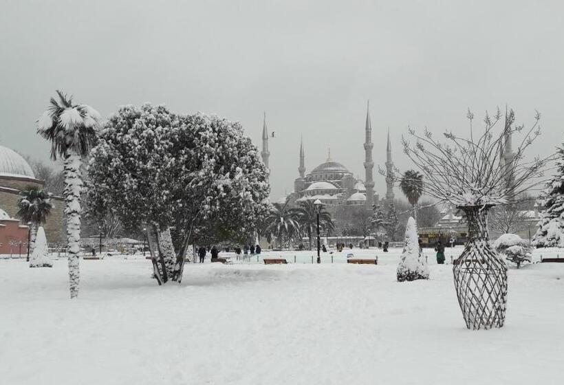 Esans Hotel   Special Category