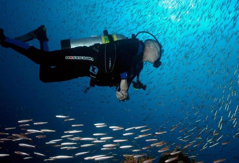 Esans Hotel   Special Category