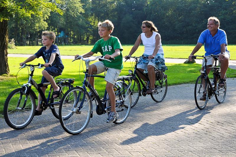 Fletcher Familiehotel De Hunzebergen