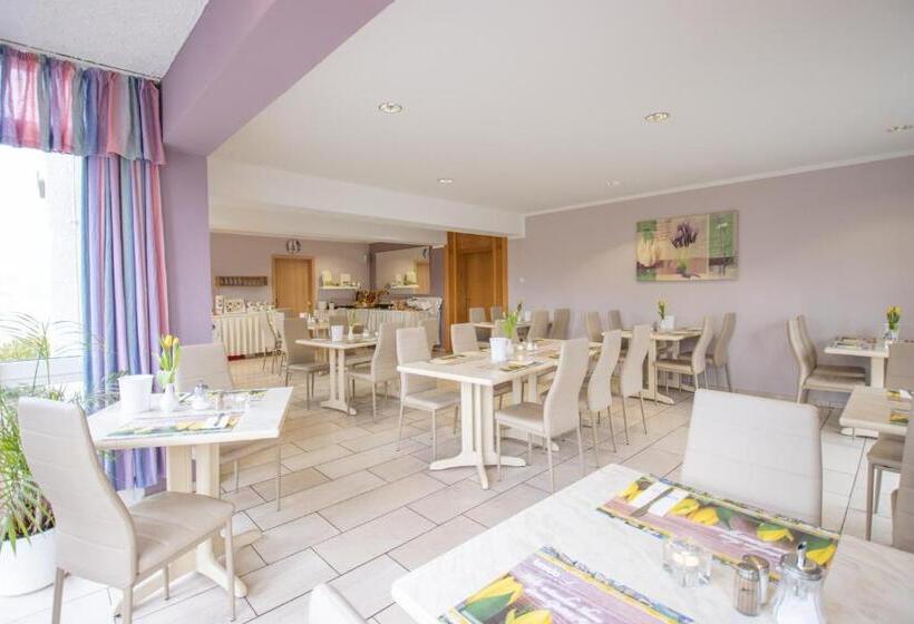 ホテル Garni Zwickaumosel