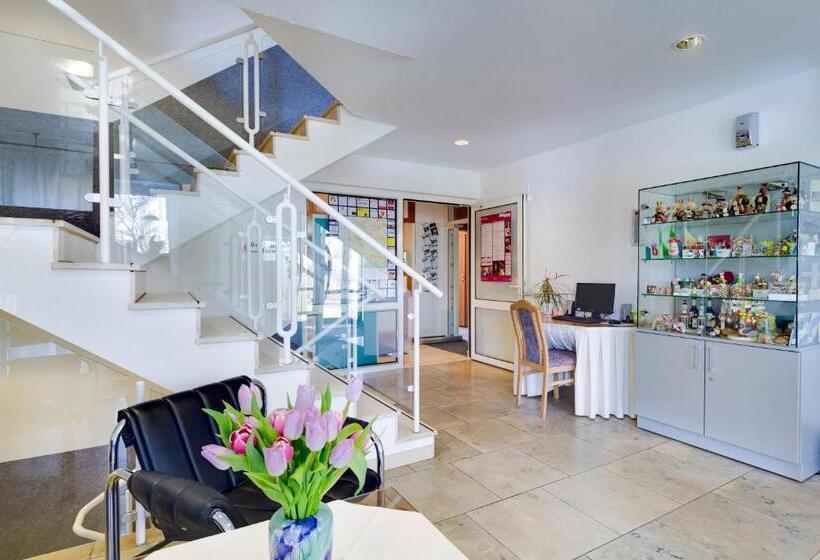 ホテル Garni Zwickaumosel