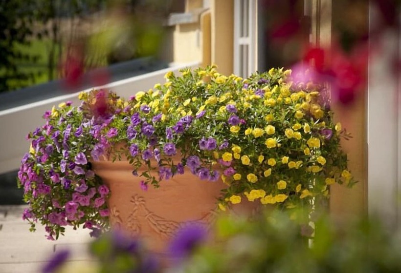 ホテル Glasl S Land