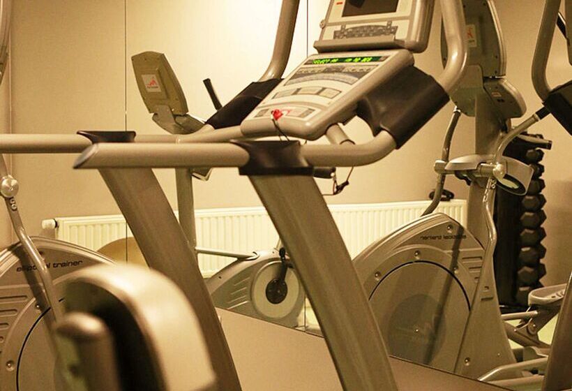 Отель Golden Tulip Ana Dome