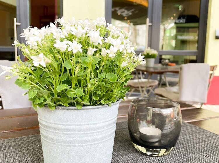 Holi City Apart Hotel Berlin